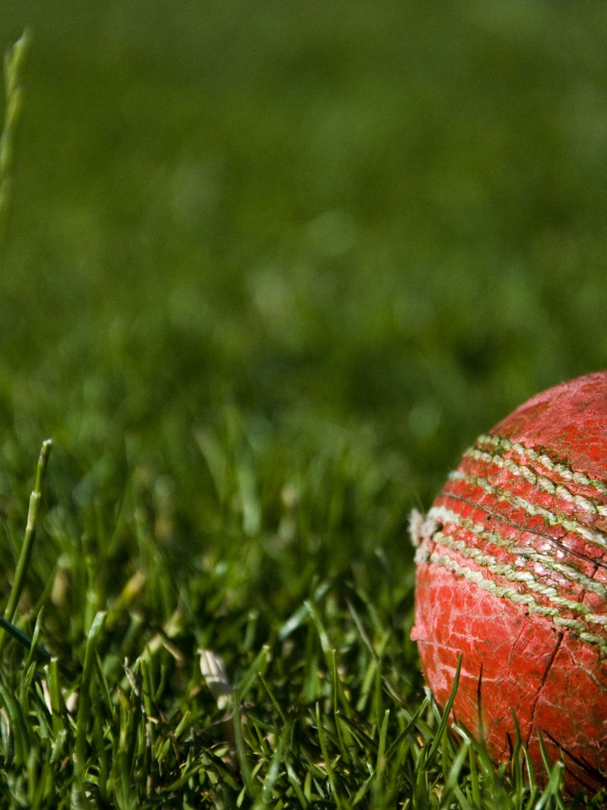 Box cricket on a turf